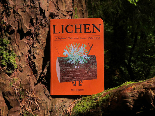 Small book titled 'LICHEN' on a tree trunk with a forest background