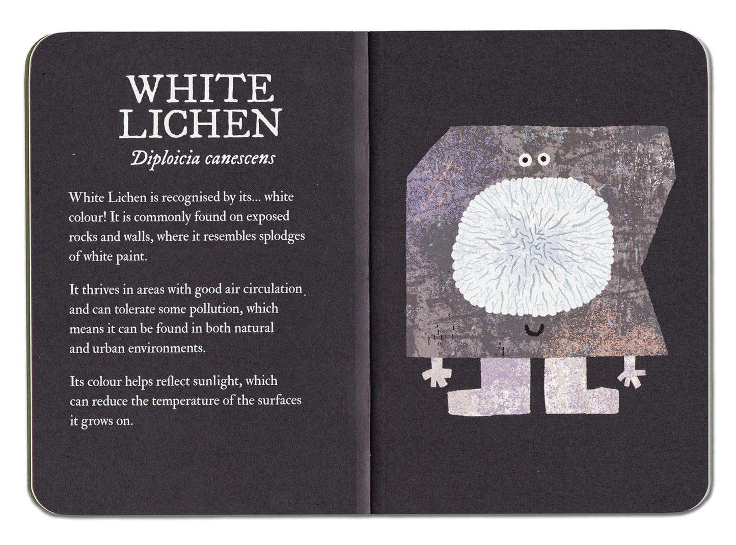 Open book with text and illustration of white lichen on a black background