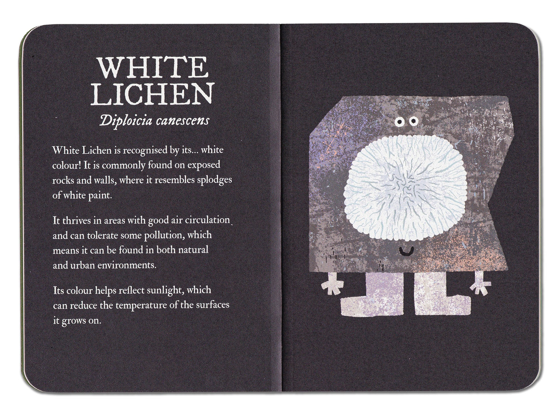Open book with text and illustration of white lichen on a black background