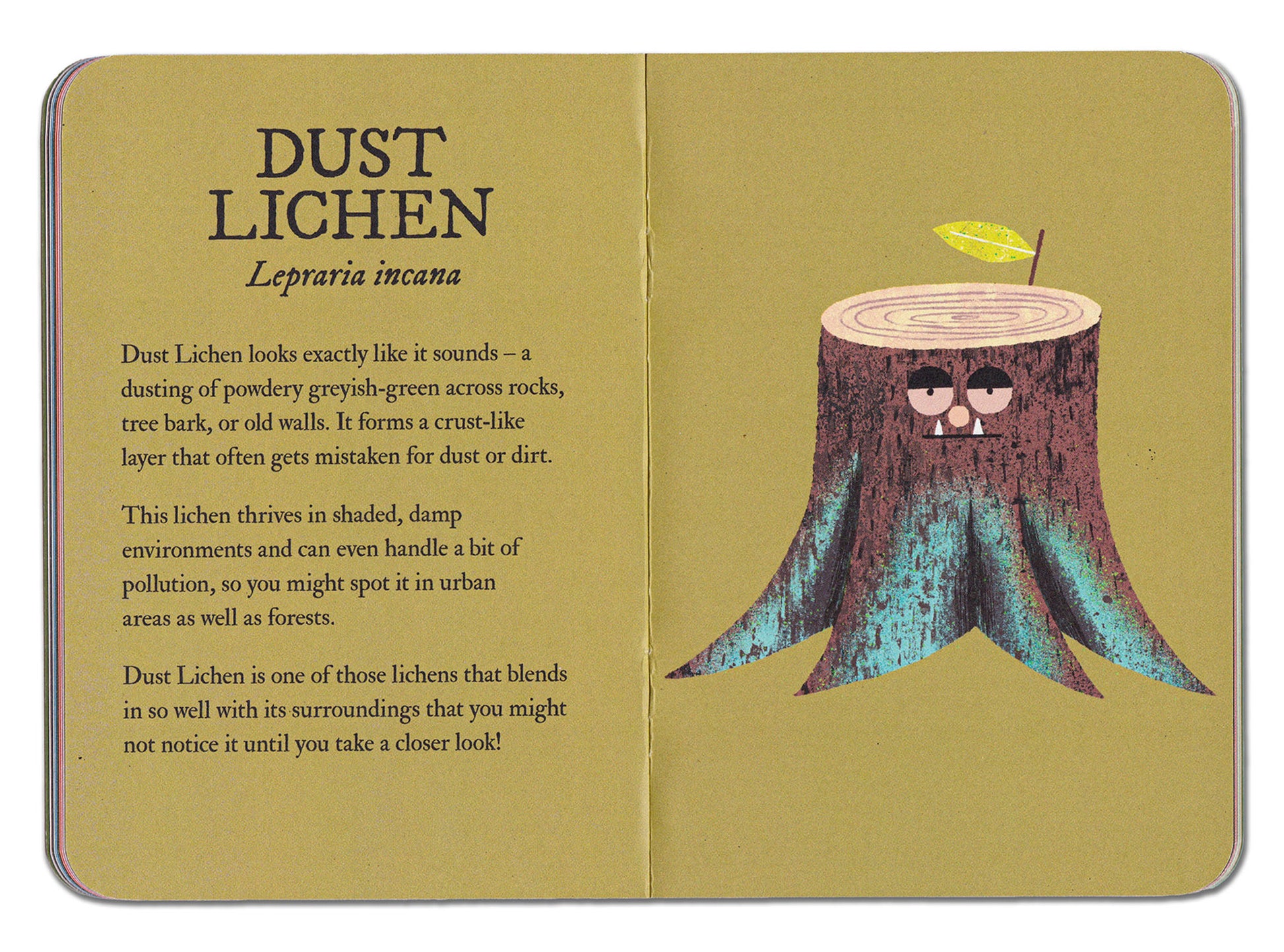 Book open to a page about Dust Lichen with an illustration of a lichen on a tree stump.