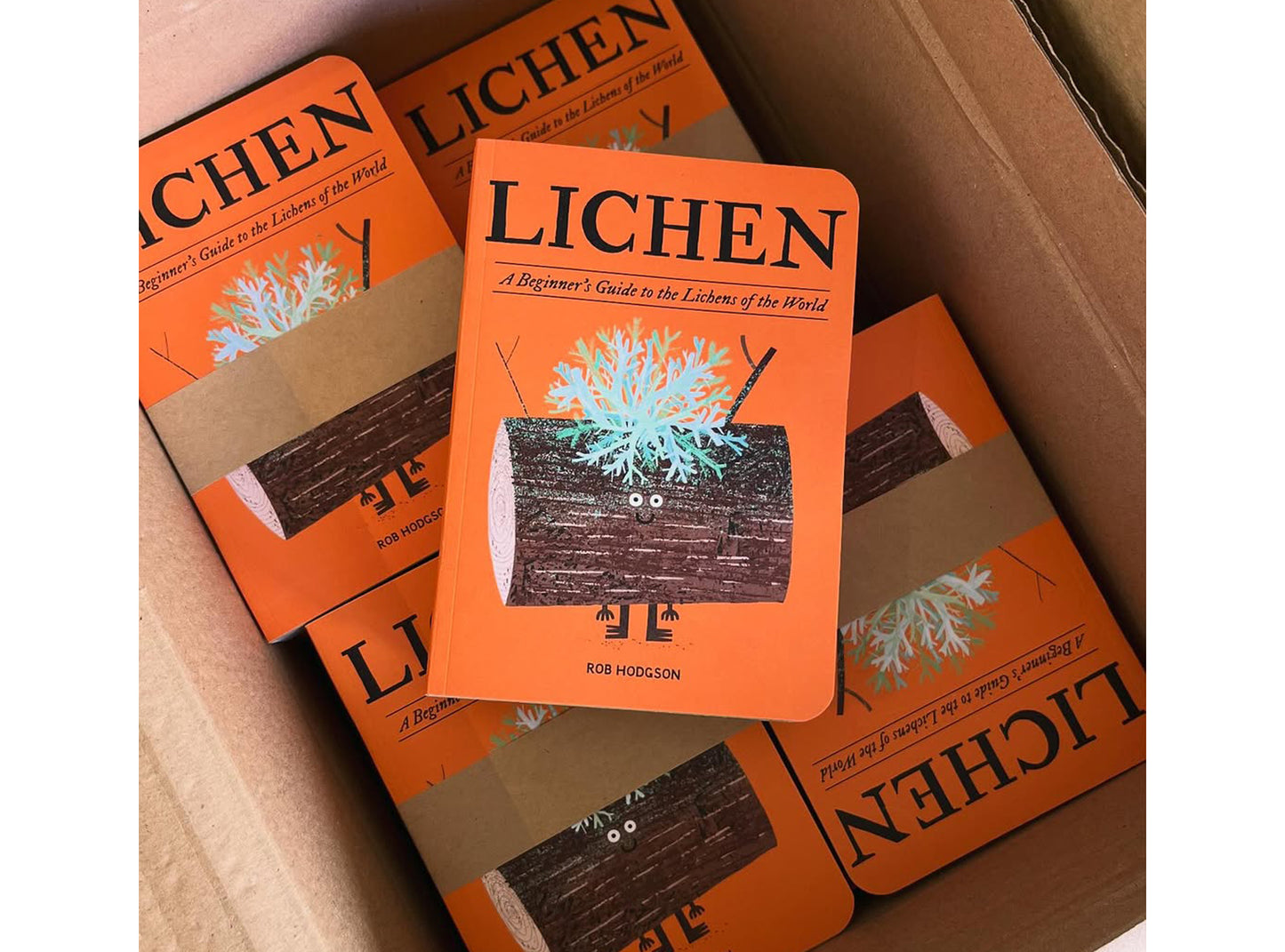 Lichen Field Guide (Wholesale pack of 10)
