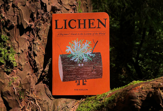 Lichen Field Guide